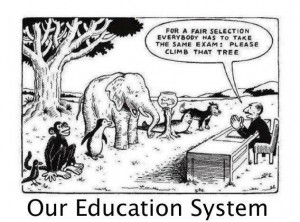 Đây là hệ thống giáo dục đồng nhất, mọi con đều phải leo lên cây nếu muốn thi đậu.